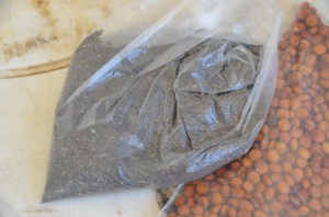 Chia & Pigeon Pea seeds provide much needed nutritional benefits to help save lives!