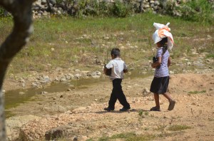 Immediate aid AND sustainable food sources for the future from Hope Lives Apparel! 