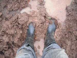 Planting crops in the fields can be very difficult due to rain.