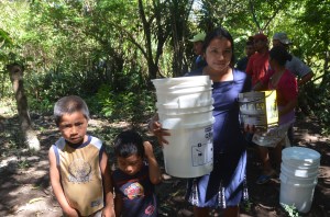 This program works.  We are seeing the positive results first hand!!!