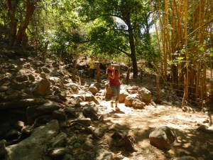 This was a horrific walk to bring materials for the school